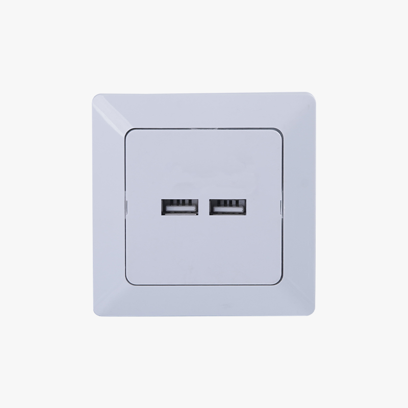 DUAL USB CHARGERS