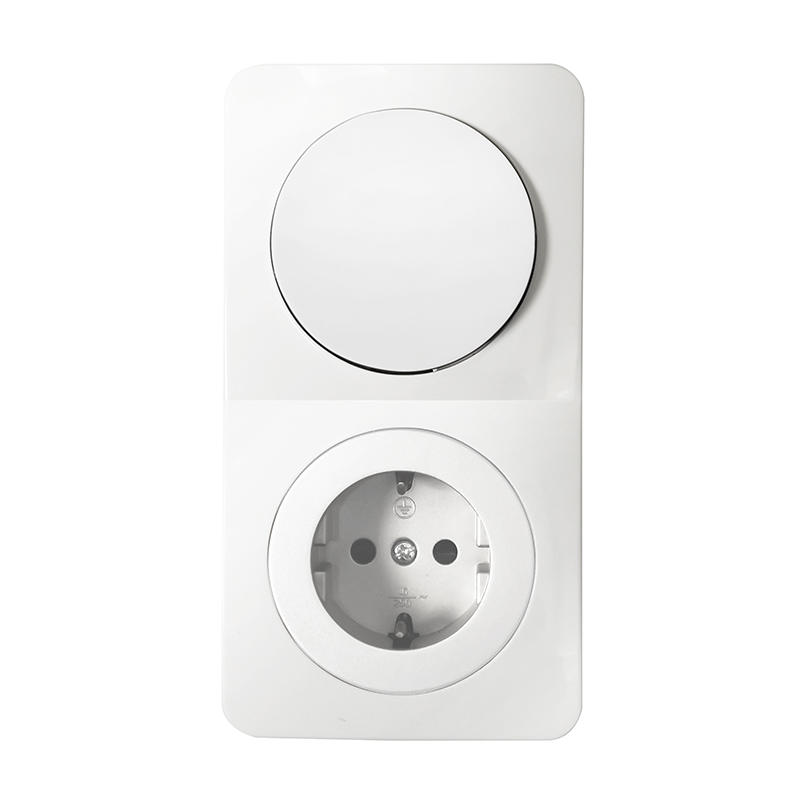 Definition of Single and Dual Control Wall Switches