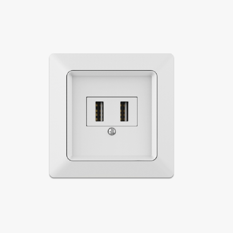 DUAL USB CHARGERS